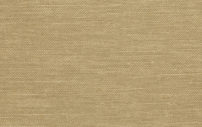 Американская ткань Trend, коллекция Lemon Zest Cashew Prints & Wovens Vol.III, артикул 02626/Sesame