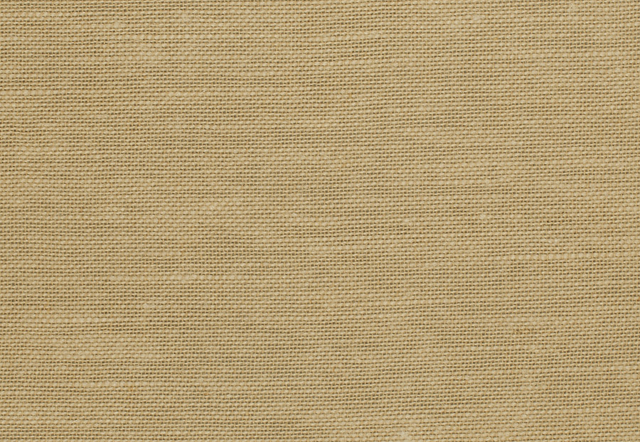 Ткань Trend Lemon Zest Cashew Prints & Wovens Vol.III 02626/Sesame