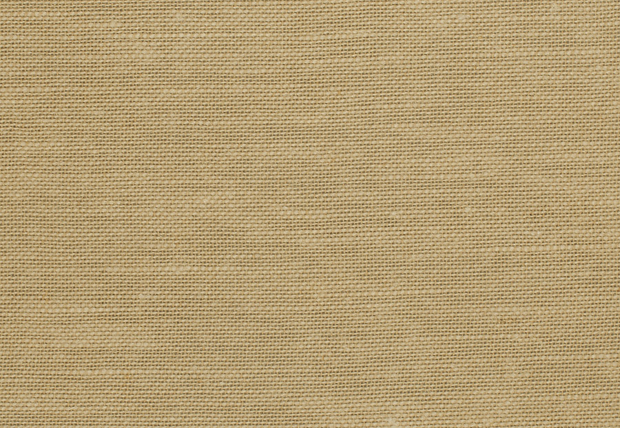 Ткань Trend Lemon Zest Cashew Prints & Wovens Vol.III 02626/Sesame