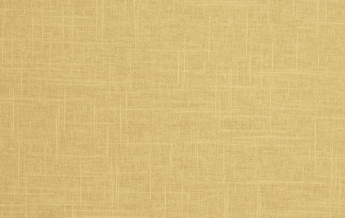 Американская ткань Trend, коллекция Lemon Zest Cashew Prints & Wovens Vol.III, артикул 02636/Honey