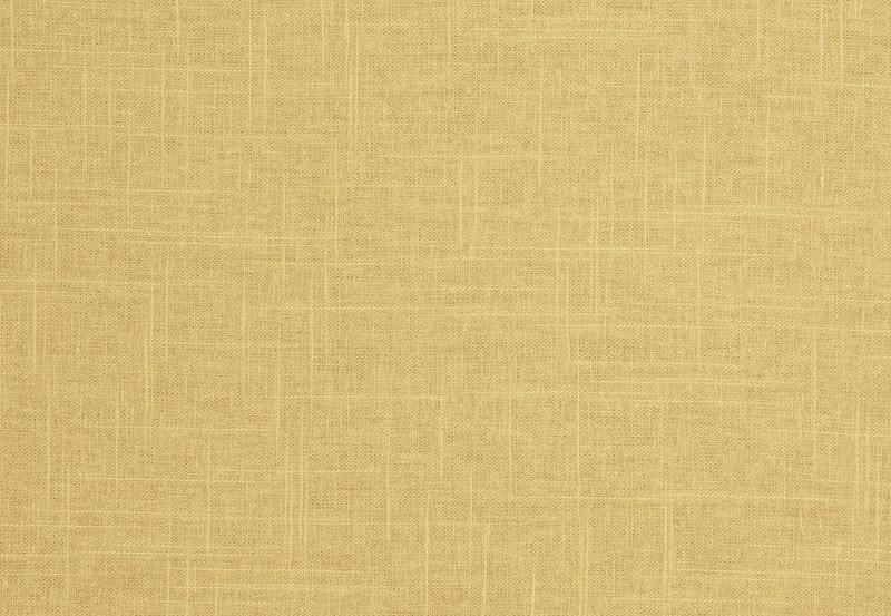 Ткань Trend Lemon Zest Cashew Prints & Wovens Vol.III 02636/Honey