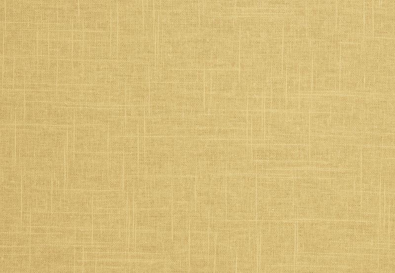 Ткань Trend Lemon Zest Cashew Prints & Wovens Vol.III 02636/Honey