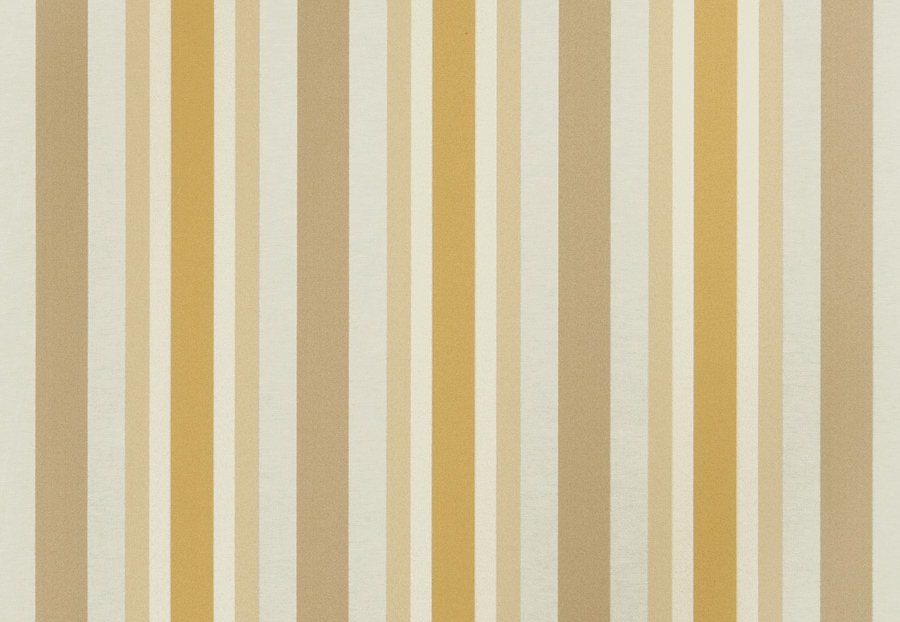Ткань Trend Lemon Zest Cashew Prints & Wovens Vol.III 02621/Cashew