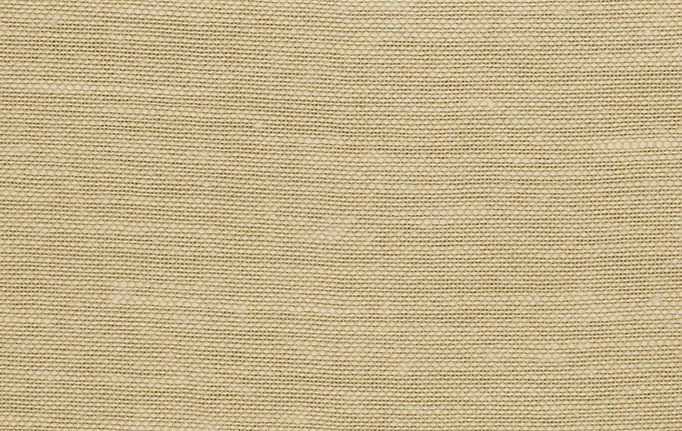 Американская ткань Trend, коллекция Lemon Zest Cashew Prints & Wovens Vol.III, артикул 02626/Cashew