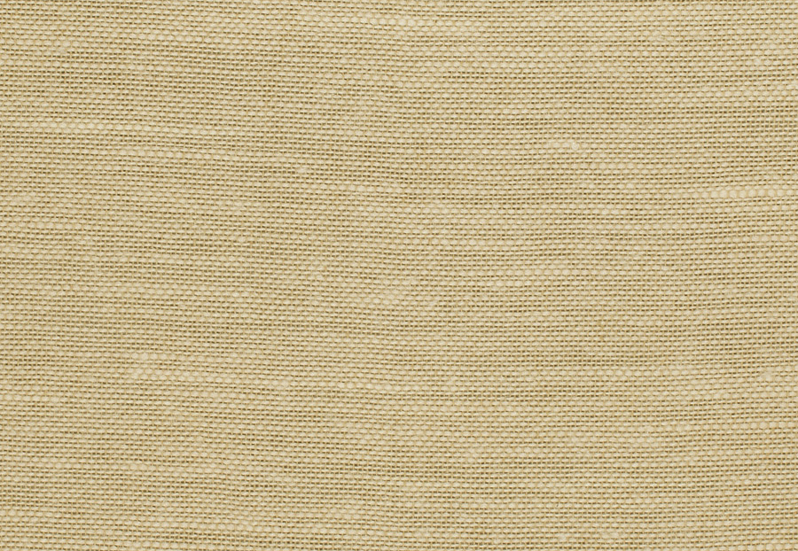 Ткань Trend Lemon Zest Cashew Prints & Wovens Vol.III 02626/Cashew