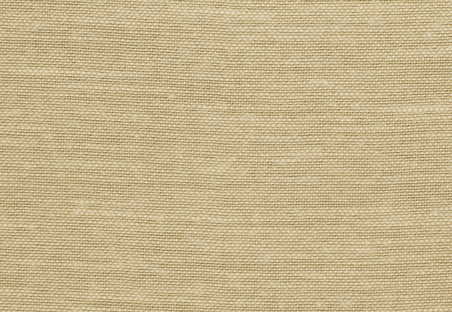 Ткань Trend Lemon Zest Cashew Prints & Wovens Vol.III 02626/Cashew