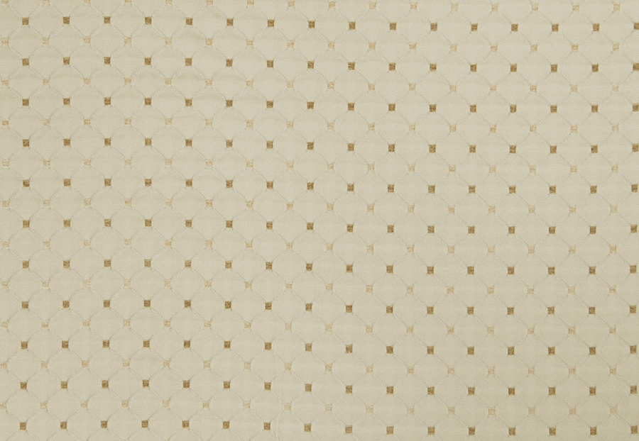 Ткань Trend Lemon Zest Cashew Prints & Wovens Vol.III 02104/Cashew