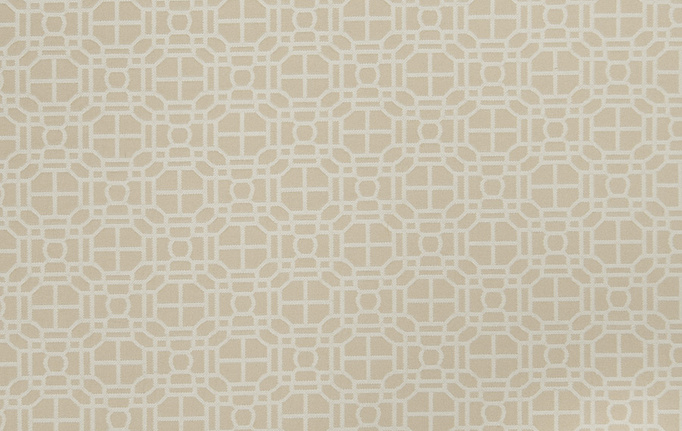 Американская ткань Trend, коллекция Lemon Zest Cashew Prints & Wovens Vol.III, артикул 02602/Cashew