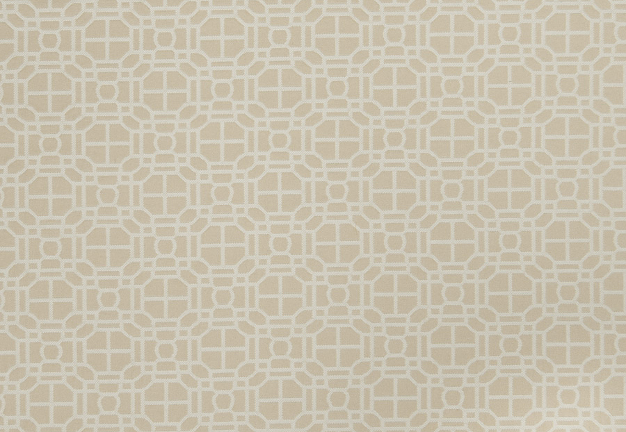 Ткань Trend Lemon Zest Cashew Prints & Wovens Vol.III 02602/Cashew