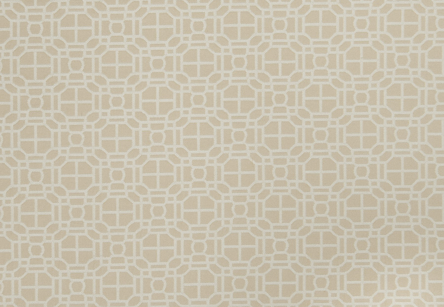 Ткань Trend Lemon Zest Cashew Prints & Wovens Vol.III 02602/Cashew
