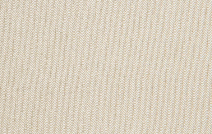 Американская ткань Trend, коллекция Lemon Zest Cashew Prints & Wovens Vol.III, артикул 02622/Cashew