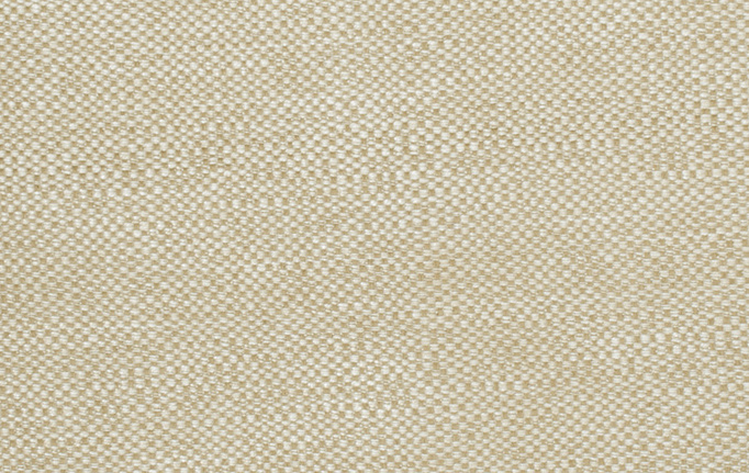 Американская ткань Trend, коллекция Lemon Zest Cashew Prints & Wovens Vol.III, артикул 02628/Oatmeal