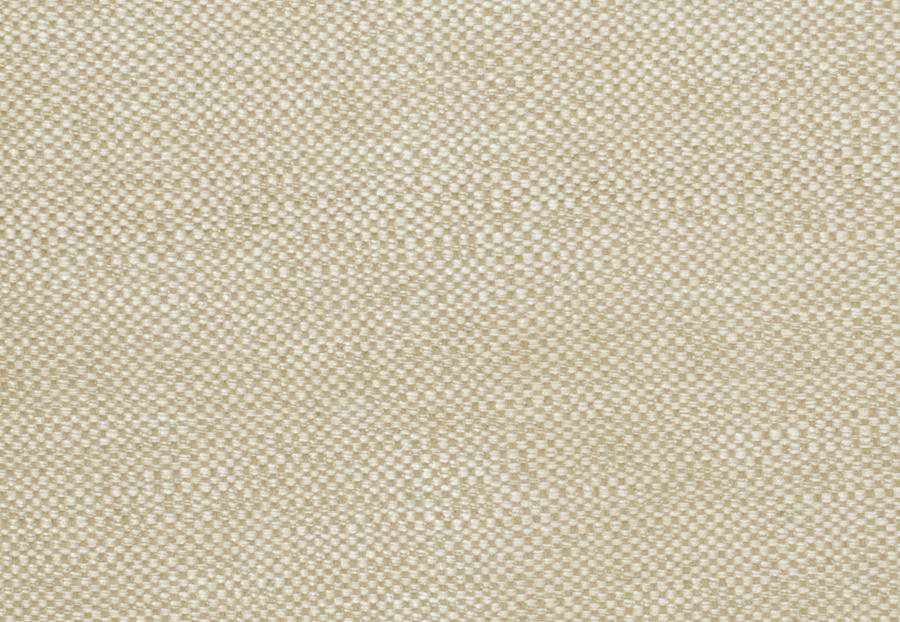 Ткань Trend Lemon Zest Cashew Prints & Wovens Vol.III 02628/Oatmeal
