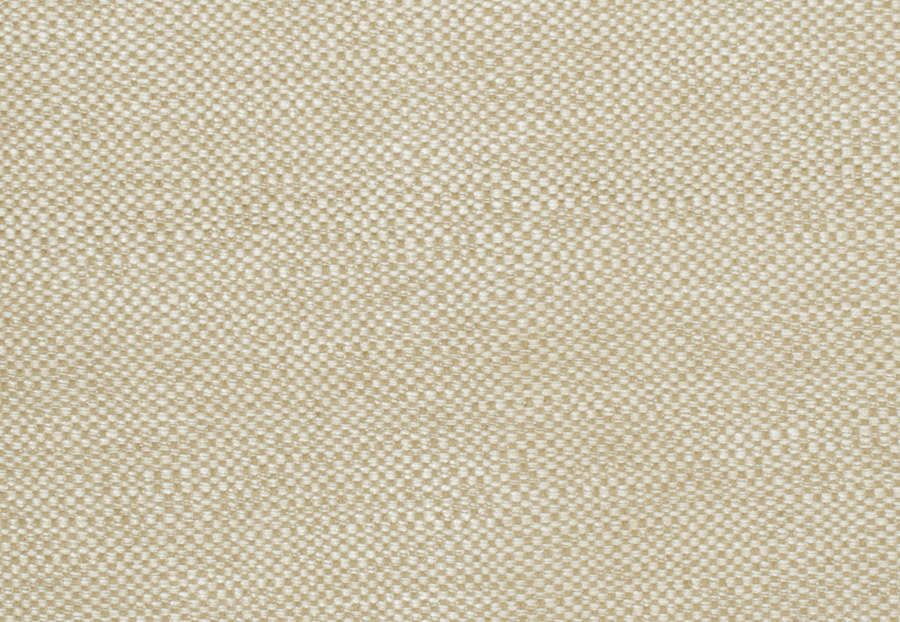 Ткань Trend Lemon Zest Cashew Prints & Wovens Vol.III 02628/Oatmeal