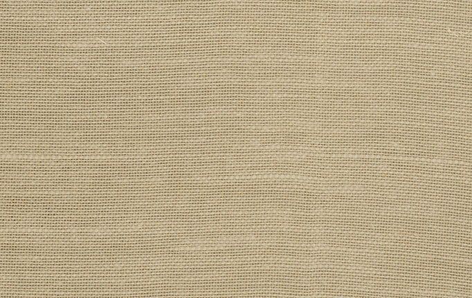 Американская ткань Trend, коллекция Lemon Zest Cashew Prints & Wovens Vol.III, артикул 02626/Toast