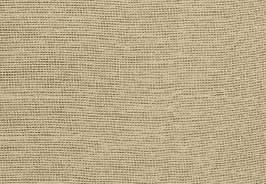 Ткань Trend Lemon Zest Cashew Prints & Wovens Vol.III 02626/Toast