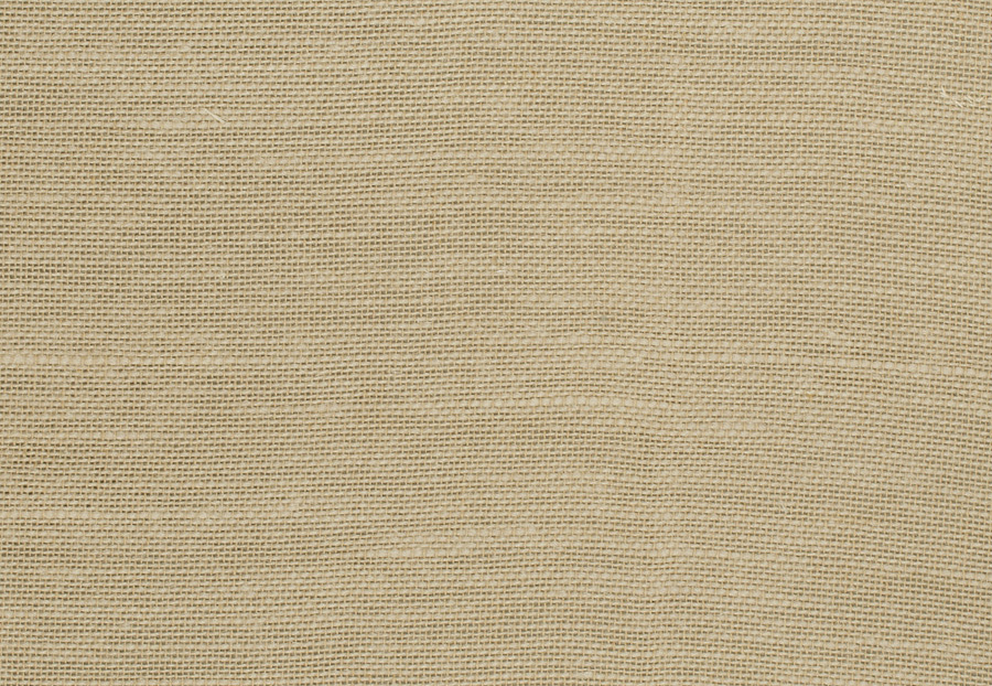 Ткань Trend Lemon Zest Cashew Prints & Wovens Vol.III 02626/Toast