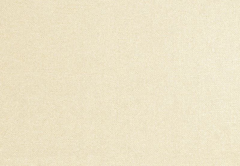 Ткань Trend Lemon Zest Cashew Prints & Wovens Vol.III 02133/Oyster