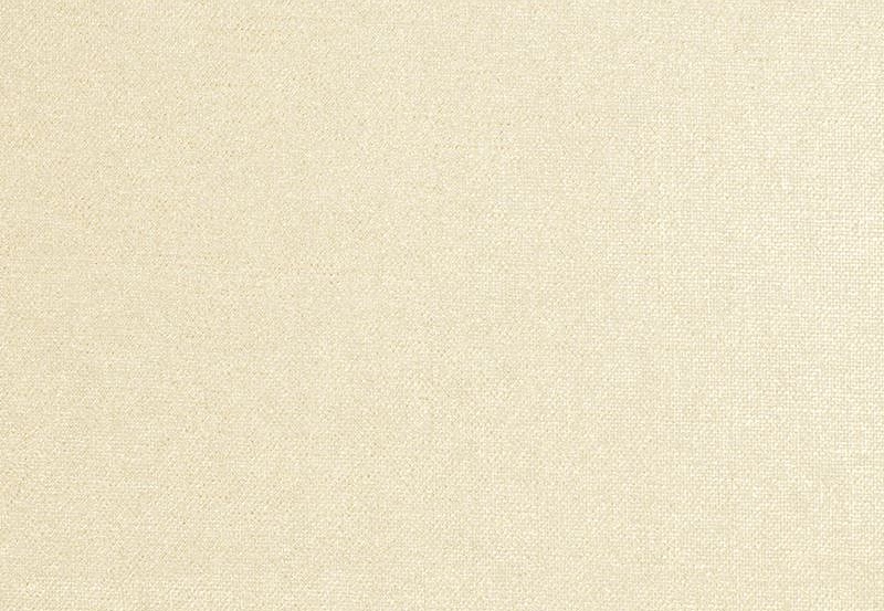 Ткань Trend Lemon Zest Cashew Prints & Wovens Vol.III 02133/Oyster