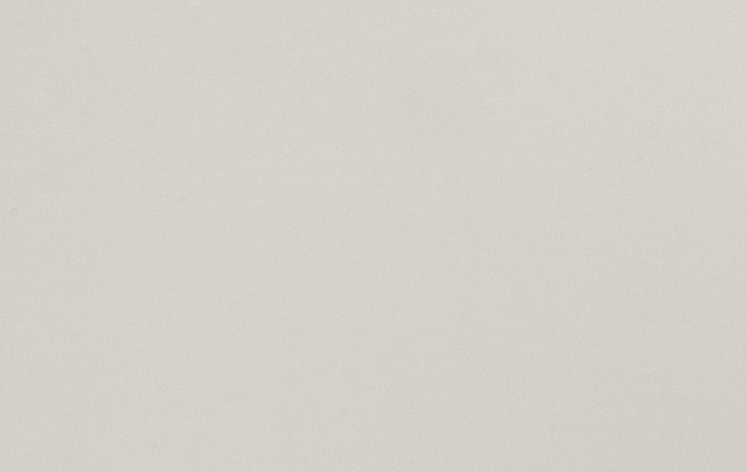 Американская ткань Trend, коллекция Multipurpose Sleek Satin Vol.II, артикул 02022/Fog