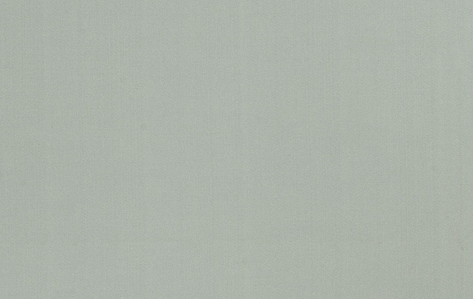 Американская ткань Trend, коллекция Multipurpose Sleek Satin Vol.II, артикул 02022/Horizon