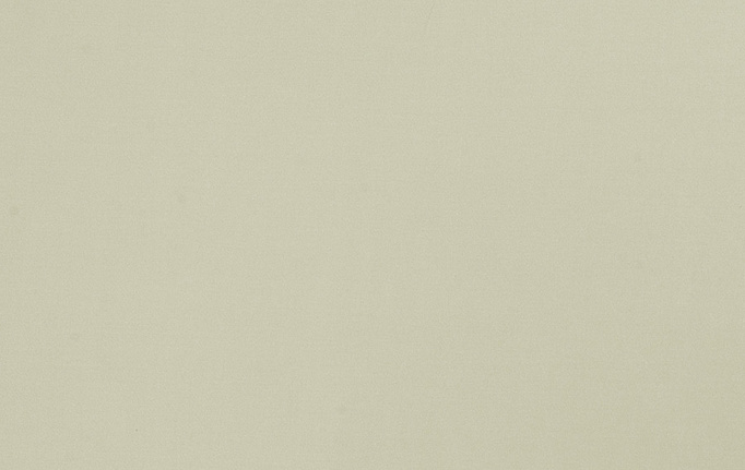 Американская ткань Trend, коллекция Multipurpose Sleek Satin Vol.II, артикул 02022/Mint