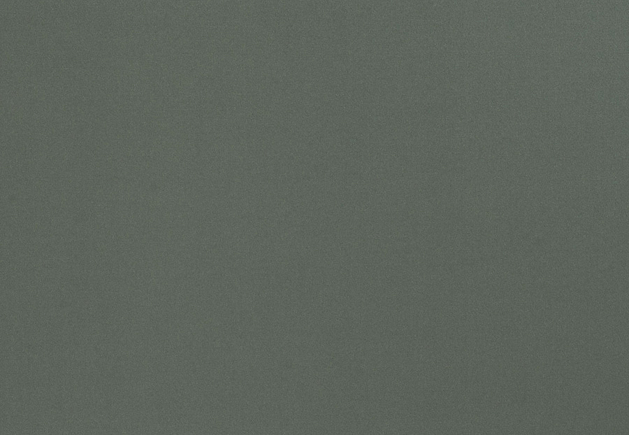 Ткань Trend Multipurpose Sleek Satin Vol.II 02022/Beetle