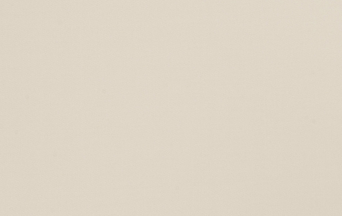 Американская ткань Trend, коллекция Multipurpose Sleek Satin Vol.II, артикул 02022/Birch