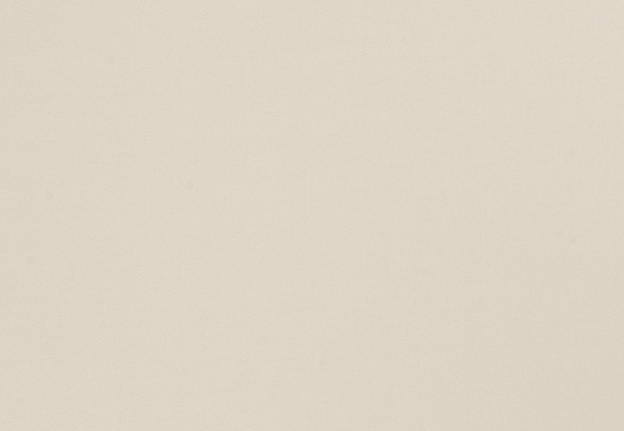 Ткань Trend Multipurpose Sleek Satin Vol.II 02022/Birch