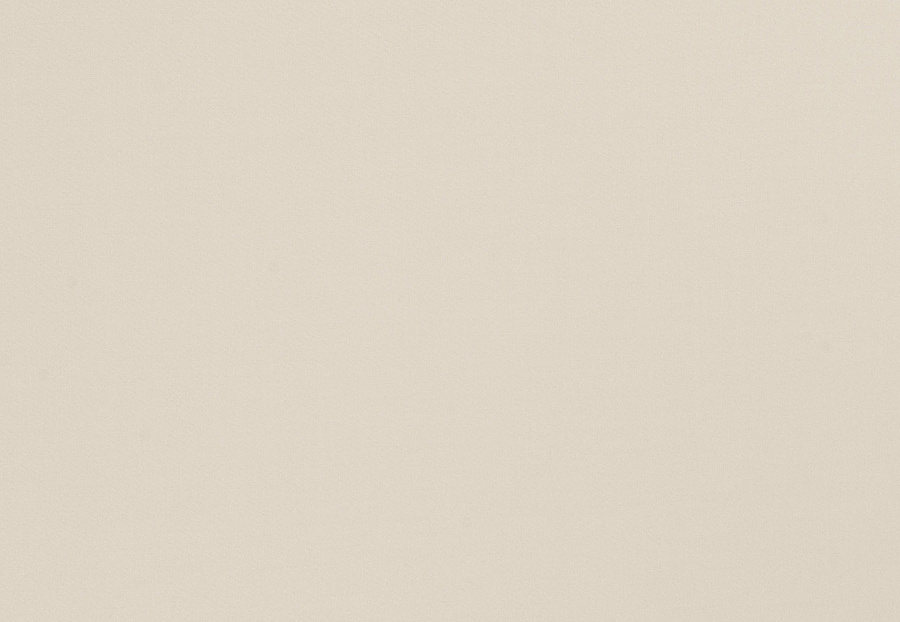Ткань Trend Multipurpose Sleek Satin Vol.II 02022/Birch