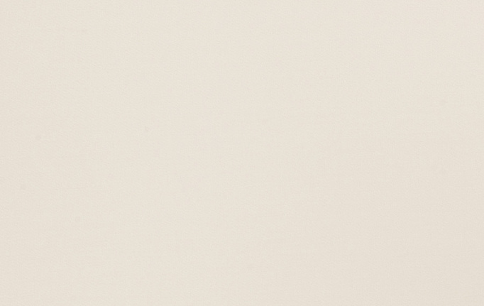 Американская ткань Trend, коллекция Multipurpose Sleek Satin Vol.II, артикул 02022/Ice