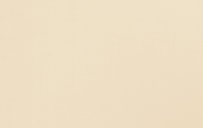 Американская ткань Trend, коллекция Multipurpose Sleek Satin Vol.II, артикул 02022/Nougat