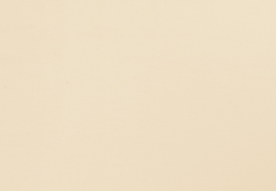 Ткань Trend Multipurpose Sleek Satin Vol.II 02022/Nougat