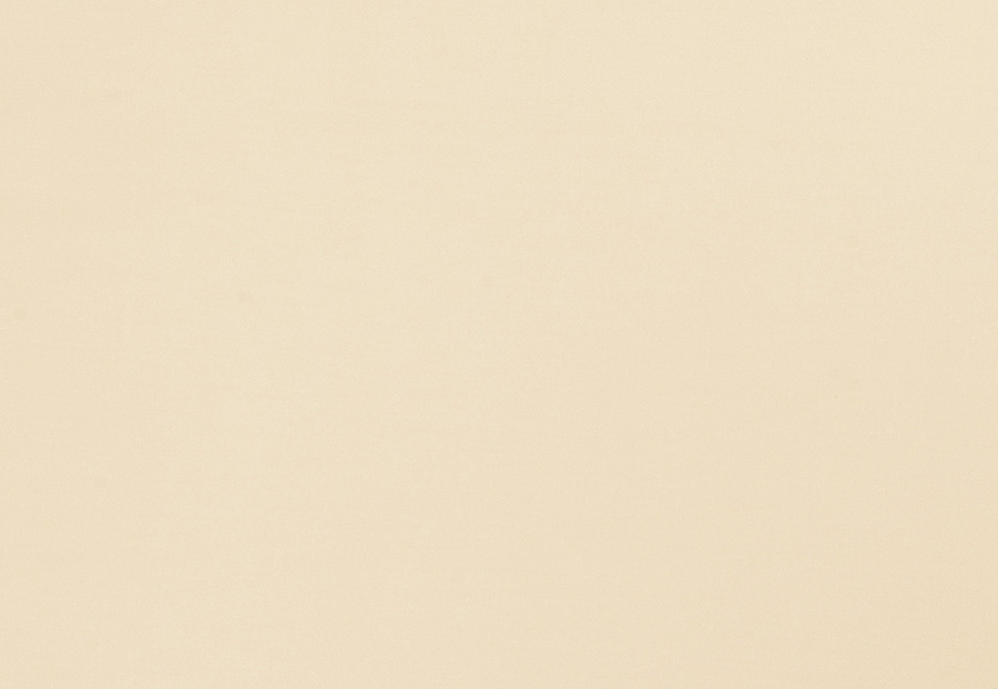 Ткань Trend Multipurpose Sleek Satin Vol.II 02022/Nougat