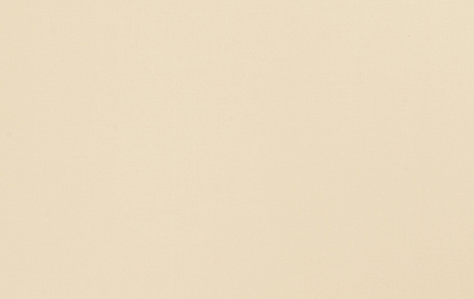 Американская ткань Trend, коллекция Multipurpose Sleek Satin Vol.II, артикул 02022/Marzipan