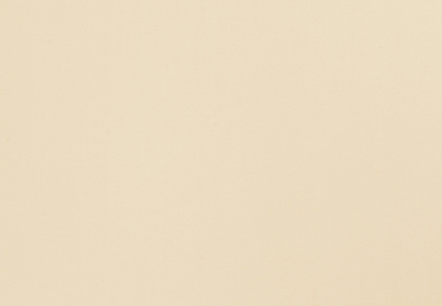 Ткань Trend Multipurpose Sleek Satin Vol.II 02022/Marzipan