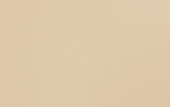 Американская ткань Trend, коллекция Multipurpose Sleek Satin Vol.II, артикул 02022/Sand