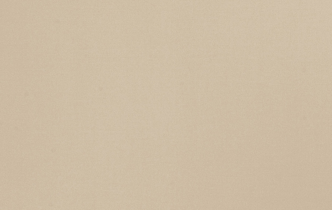Американская ткань Trend, коллекция Multipurpose Sleek Satin Vol.II, артикул 02022/Oyster