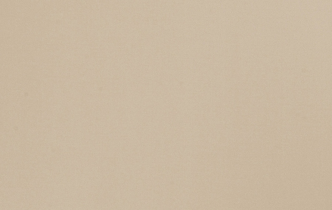 Американская ткань Trend, коллекция Multipurpose Sleek Satin Vol.II, артикул 02022/Plaza