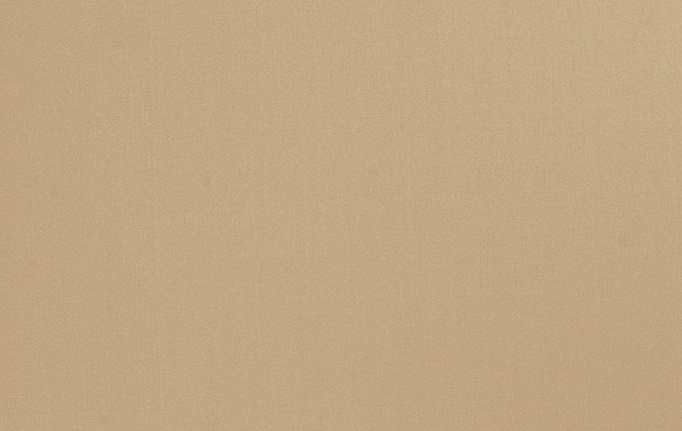 Американская ткань Trend, коллекция Multipurpose Sleek Satin Vol.II, артикул 02022/Beige