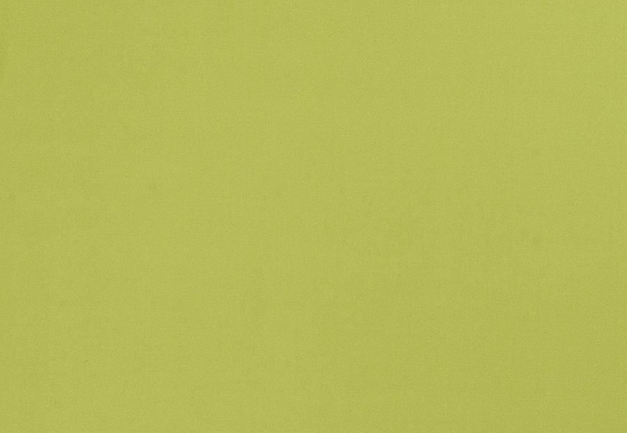 Ткань Trend Multipurpose Sleek Satin Vol.II 02022/Kiwi