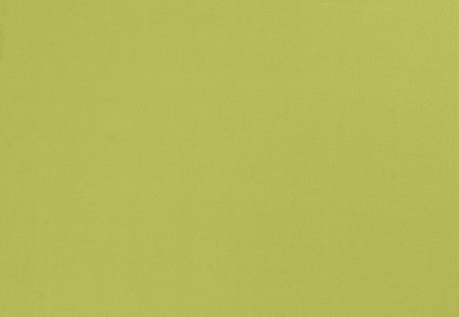 Ткань Trend Multipurpose Sleek Satin Vol.II 02022/Kiwi