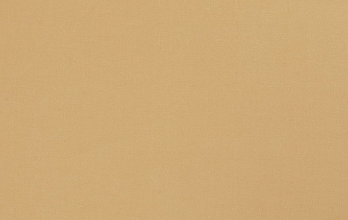 Американская ткань Trend, коллекция Multipurpose Sleek Satin Vol.II, артикул 02022/Raffia