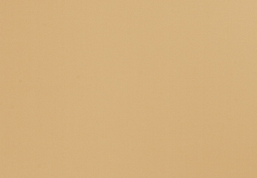 Ткань Trend Multipurpose Sleek Satin Vol.II 02022/Buff
