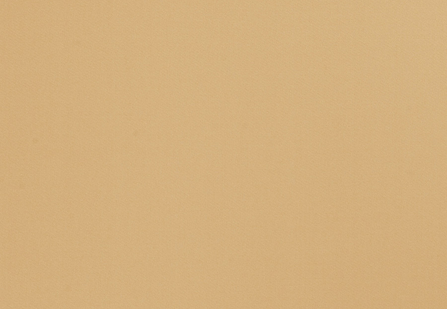 Ткань Trend Multipurpose Sleek Satin Vol.II 02022/Buff