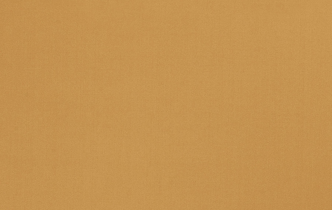 Американская ткань Trend, коллекция Multipurpose Sleek Satin Vol.II, артикул 02022/Beeswax