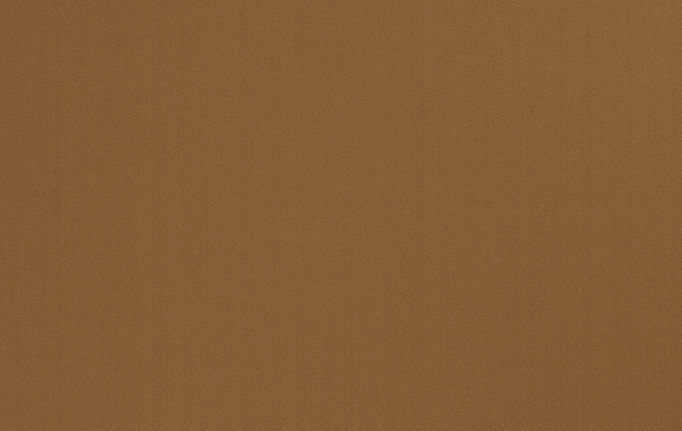Американская ткань Trend, коллекция Multipurpose Sleek Satin Vol.II, артикул 02022/Nutmeg