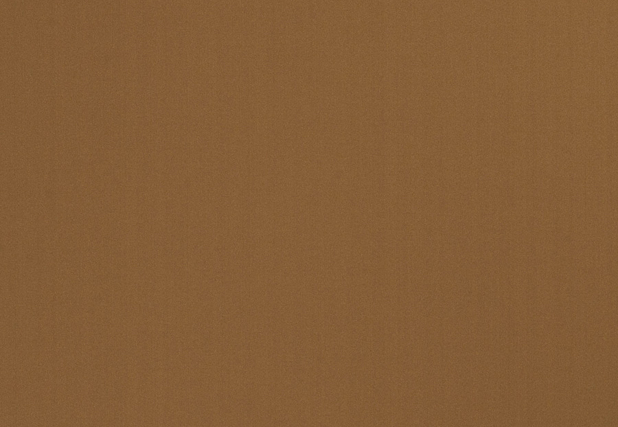 Ткань Trend Multipurpose Sleek Satin Vol.II 02022/Nutmeg