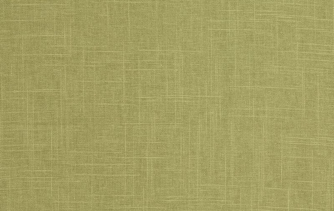 Американская ткань Trend, коллекция Pacific Linen Multipurpose, артикул 02636/Leaf