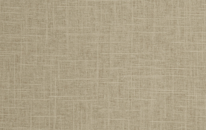 Американская ткань Trend, коллекция Pacific Linen Multipurpose, артикул 02636/Pebble